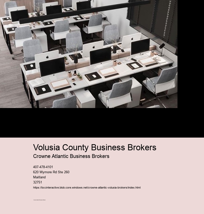 What is the Role of Business Brokers in Volusia County?