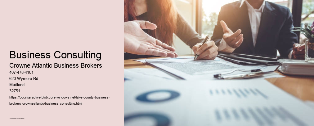 Business Consulting