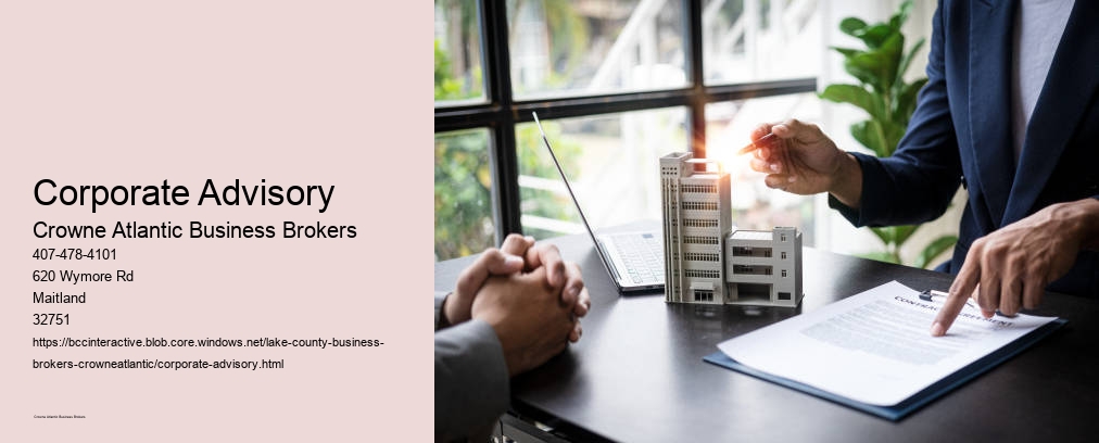Corporate Advisory
