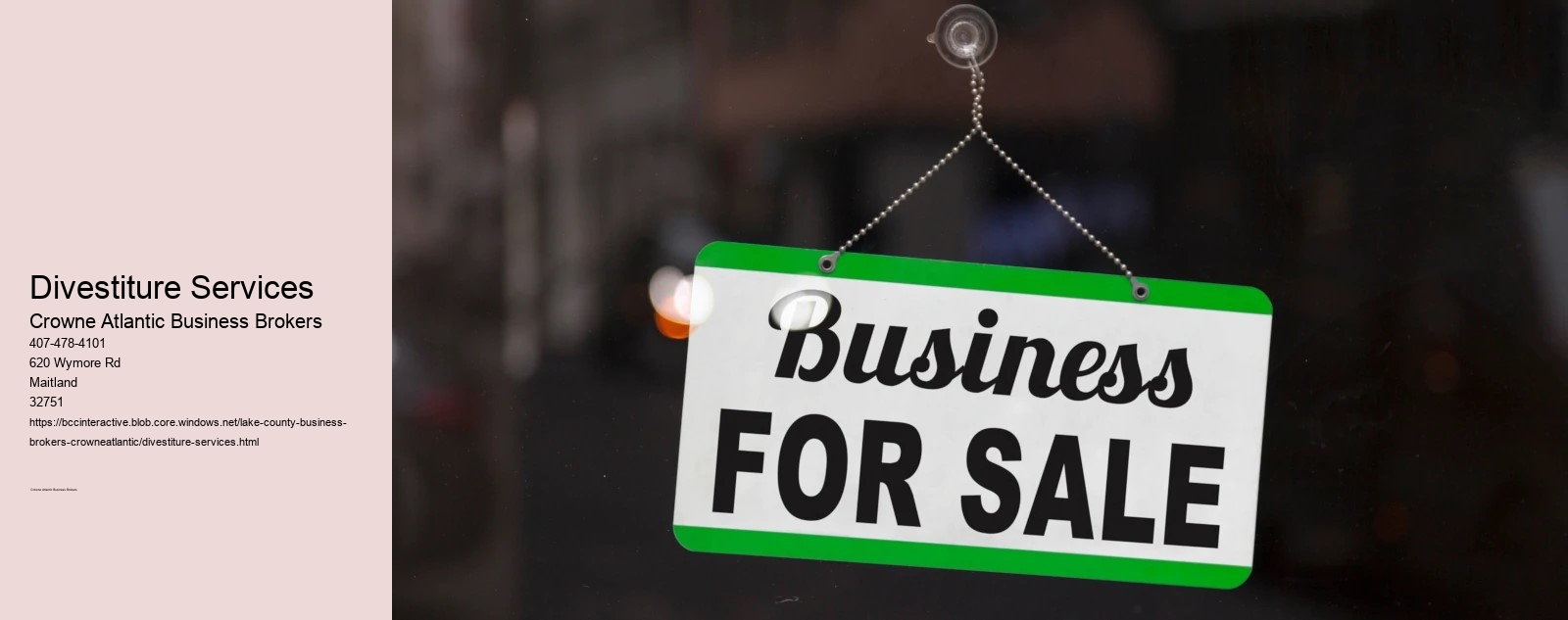 Divestiture Services