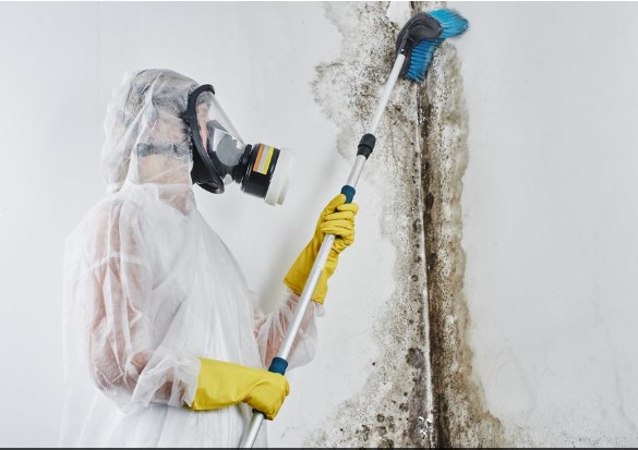 How to Choose a Reliable Water Damage Restoration Company in Philadelphia