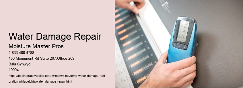 Water Damage Repair