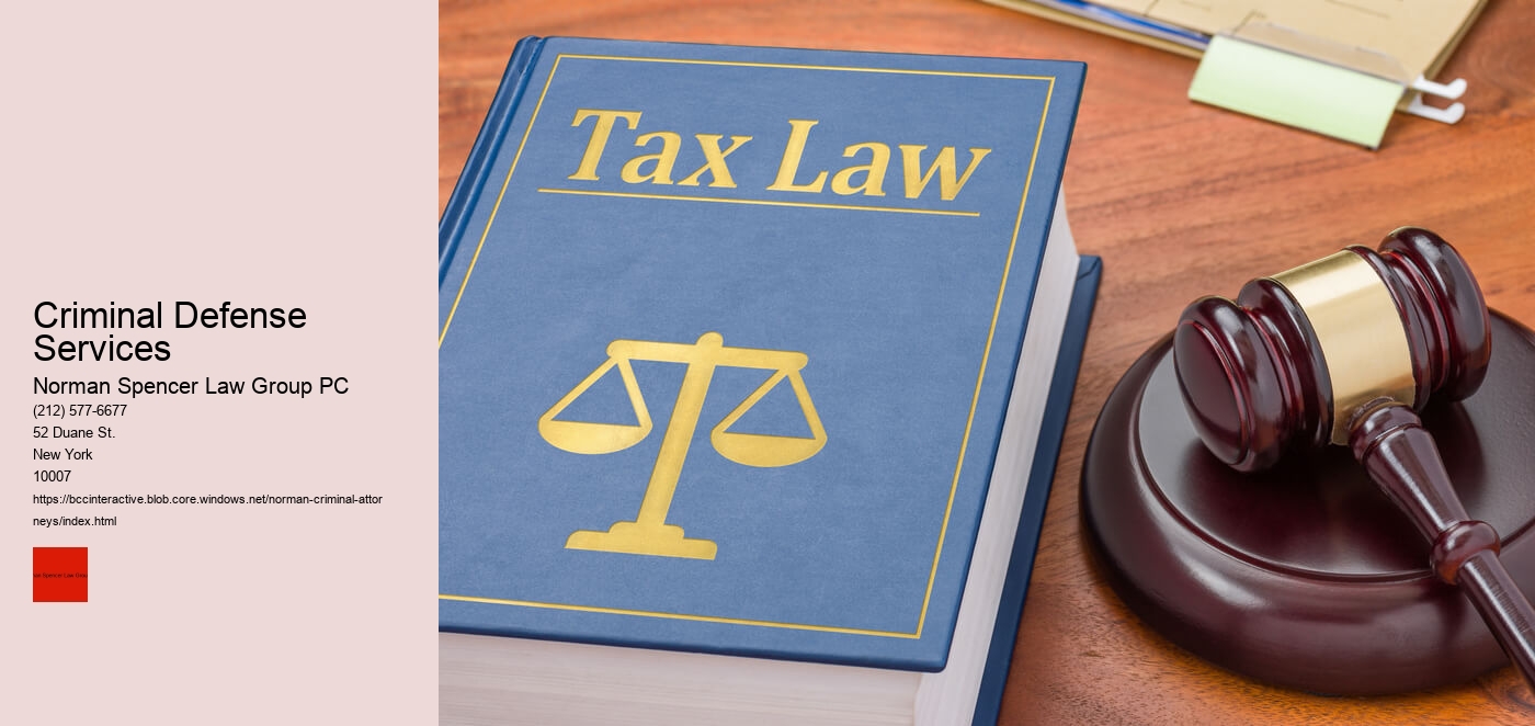 Criminal Defense Services