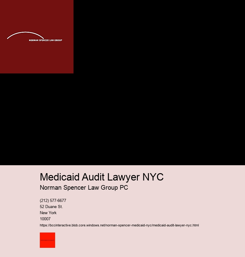 Case studies: Successful defenses by Medicaid fraud attorneys in NYC