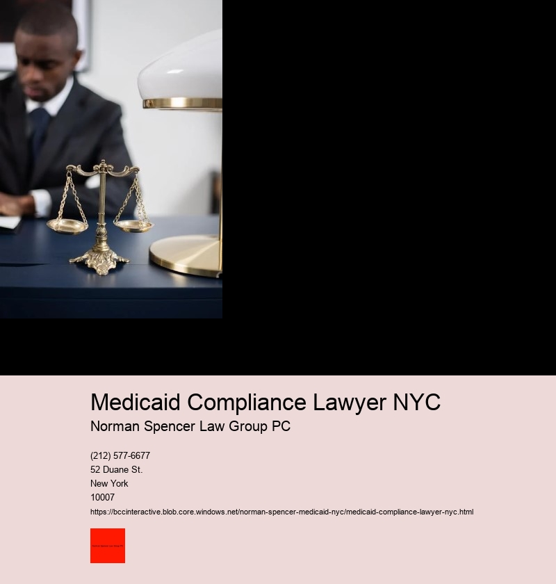 How to Fight Medicaid Fraud Charges with a Professional NYC Attorney