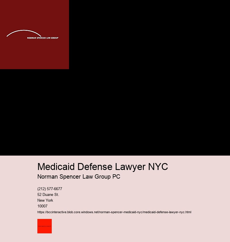 Steps on How to Hire and Consult a Top-rated Medicaid fraud attorney in New York City.