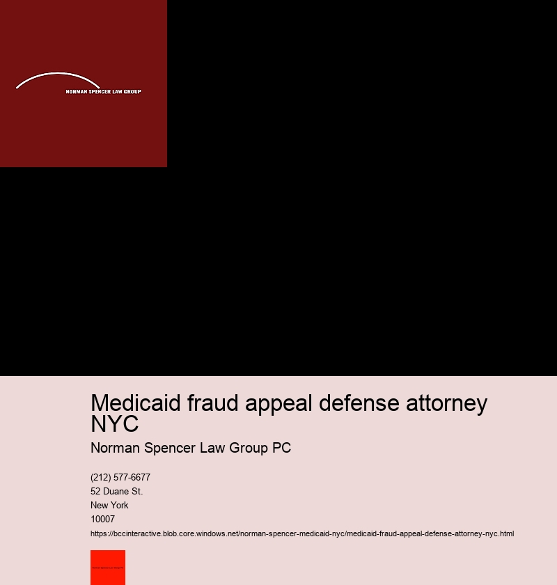 Understanding How to Work Effectively with your NYC Medicaid Fraud Lawyer 