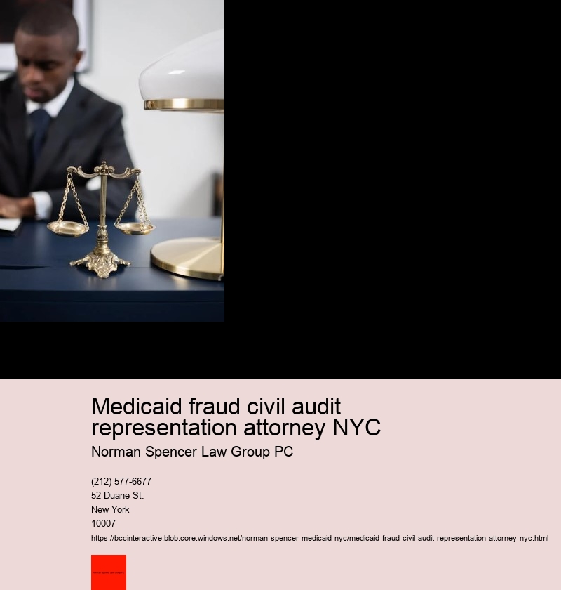 Understanding Medicaid fraud in New York City: An Overview