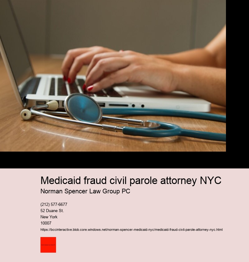 Understanding Medicaid fraud in New York City: An Overview