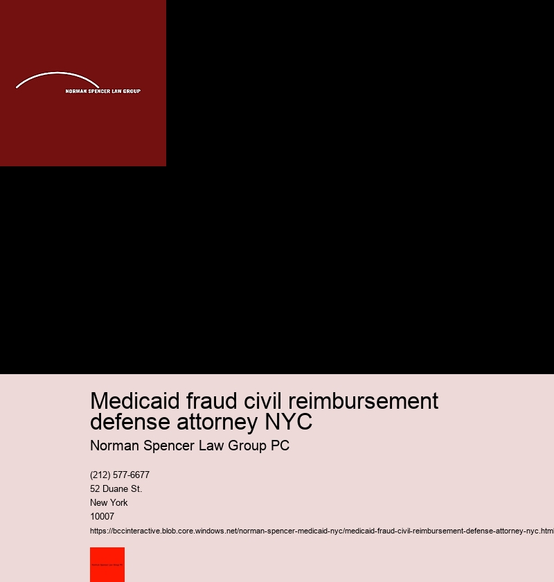 Understanding How to Work Effectively with your NYC Medicaid Fraud Lawyer 