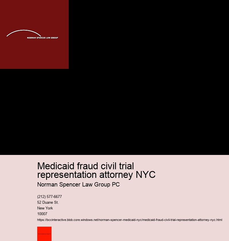 How to Navigate Through Your First Meeting with a NYC Medicaid Fraud Attorney 