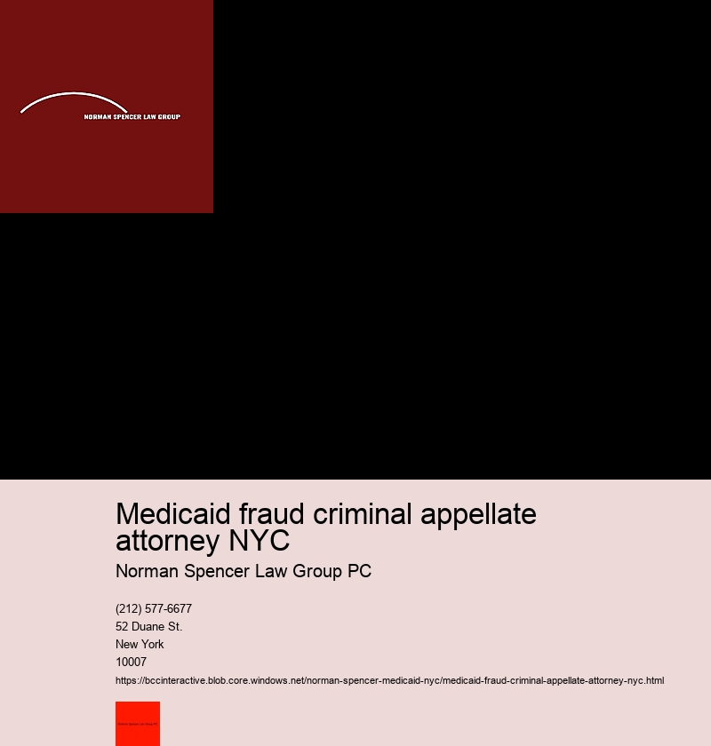 What is it like Working with a Medicaid Fraud Attorney in NYC?.