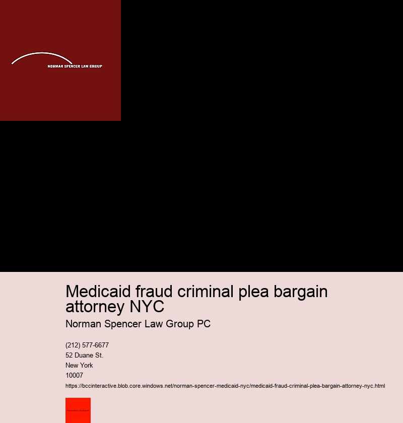 Case studies: Successful defenses by Medicaid fraud attorneys in NYC
