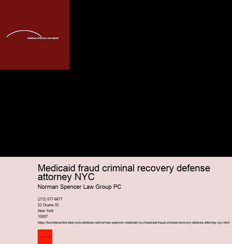 What is it like Working with a Medicaid Fraud Attorney in NYC?.