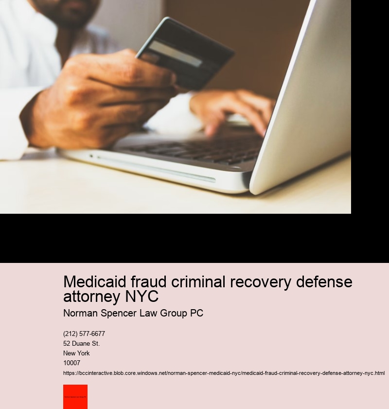 Understanding Medicaid fraud in New York City: An Overview