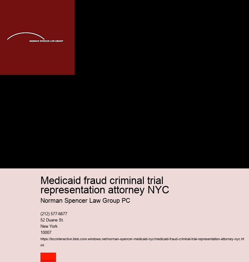 Steps on How to Hire and Consult a Top-rated Medicaid fraud attorney in New York City.