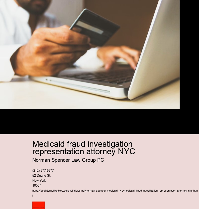 Understanding Medicaid fraud in New York City: An Overview