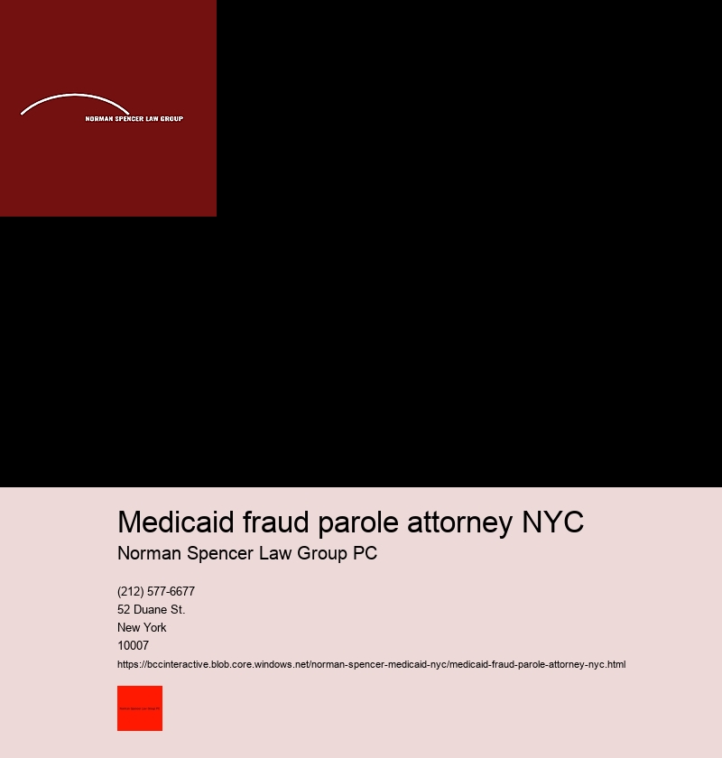 Steps on How to Hire and Consult a Top-rated Medicaid fraud attorney in New York City.