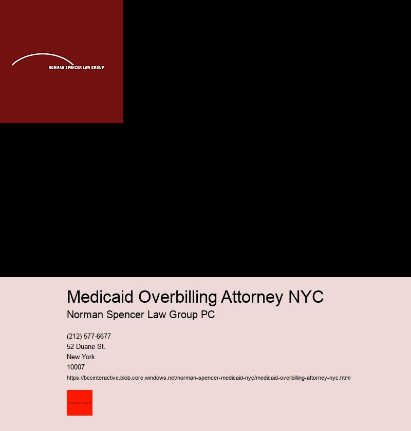 What is the Significance of a Medicaid Fraud Attorney in NYC's Legal System?